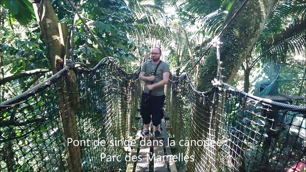 les gros guadeloupe