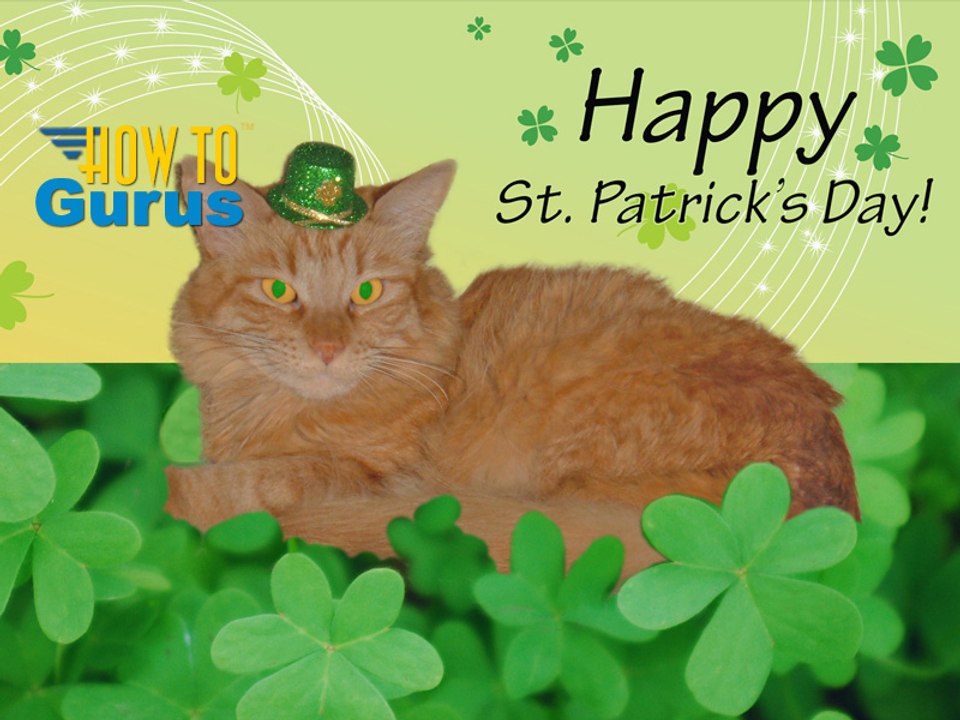 How to Put a Cat in a Custom St Patrick's Day Card in Photoshop Elements 11 12 13 14 PSE Tutorial