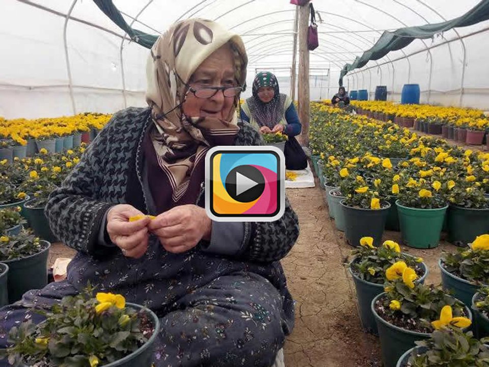Bursalı köylüler Mermer ocaklarına karşı verdiği savaşı kazandı!