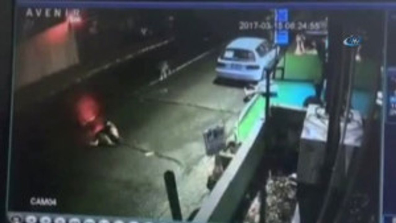 Trafik Kazasında Yaralanan Köpeği Böyle Ezdi