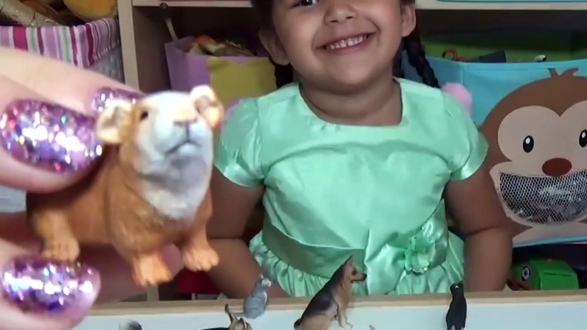 ⁣Pets Learn Animal Names and Sounds with Animal Toys Educational for Kids-Okwyp0WRm40