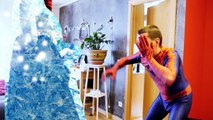 Pregnant Frozen Elsa vs Pink Spidergirl vs Pregnant Spiderman! Funny Superheroes in Real L