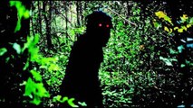 Monsters of Pennsylvania  PART 2  Werewolves and other creatures