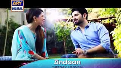 Zindaan Drama OST | ARY Digital