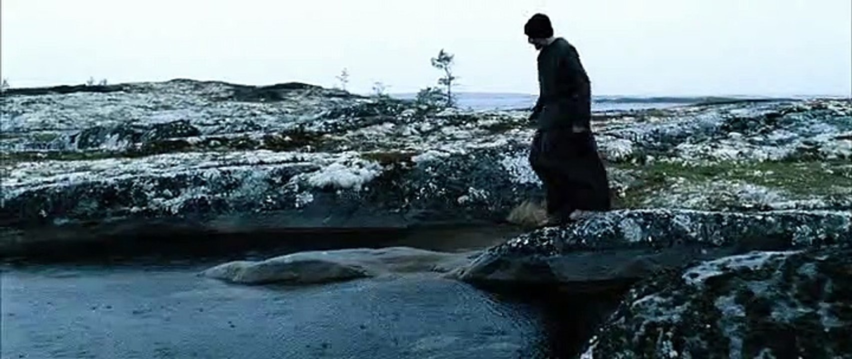 Insula