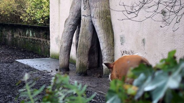 Prime Minister Questions PMQs Theresa May Jeremy Corbyn House of Commons UK