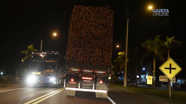 A rota clandestina da madeira: Caminhões de madeira atravessam o estado durante a madrugada
