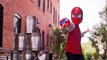Hasbro - Marvel - The Amazing Spider-Man 2 - Motorized Spider Force Web Blaster & Spider V
