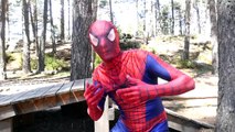 Spiderman & Pink Spidergirl vs T-Rex! Ft Frozen Elsa in Real Life - Fun Superhero w/ Comic