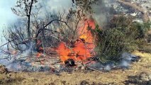 Incendios forestales aumentaron en eun 15%