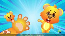 teddy bear finger family | teddy bear teddy bear turn around | nursery rhymes | kids songs