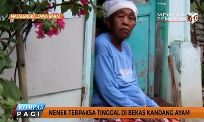 Download Video: Kisah Nenek Tinggal di Gubuk Bekas Kandang Ayam