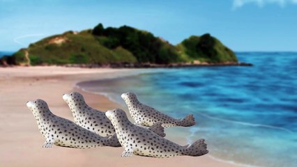 [Ko] Whales in the Toy gift box, Collection (Alive whale toys in my dream) 장난감 고래 선물상자-0F0OBISdLMA