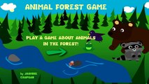 Pet Animals for kids - Learn Animal in forest game app for children