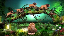 3D Gorilla Tiger Lion Finger Family || Kinder Joy Finger Family || Kid Nursery Rhymes