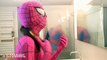 Pink Spidergirl and Spiderman with Spiderbaby in Real Life Superhero Parents