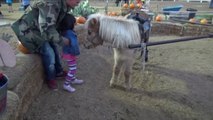 Petting ZOO at the Farm Feeding Horses and Goats Learn Animal Names for Kids-IBq