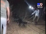 Wildlife department rescues giant crocodile in Padra, Vadodara - Tv9 Gujarati