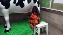 Halloween at the ZOO Animal Show Milking Cow Learn Animals for Kids-zd7On