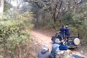 wildlife videos || tiger videos || Jim corbett national park || uttrakhand || wild animals