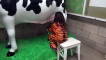 Halloween at the ZOO Animal Show Milking Cow Learn Animals for Kids-zd7Ons