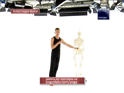 21. Регуляция тела и нервной системы