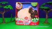 CHUBBY PUPPIES Fetch and Hide n Seek with New Chubby Puppy Toys Video-hR9