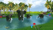 Lion Vs Elephant Cartoons Singing Finger Family Rhymes And More Children Nursery Rhymes