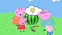 Свинка Пеппа на русском все серии подряд. Сборник историй Свинки Пеппы #1 |Peppa Pig Funny