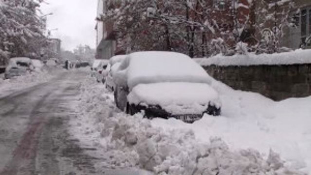 Muş'ta Kar Yağışı Nedeniyle 290 Köy Yolu Kapandı