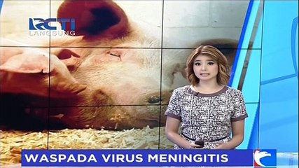 Hati-Hati! Virus Meningitis Kian Mewabah