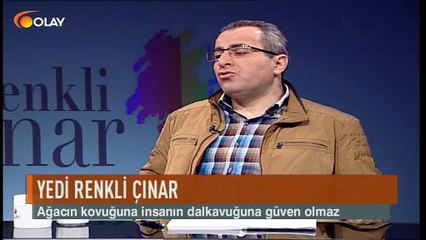 Yedi Renkli Çınar 17 03 2017