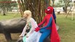 Spiderman Flies! Joker Balloon prank w/ Frozen Elsa, Pink Spidergirl funny superhero video