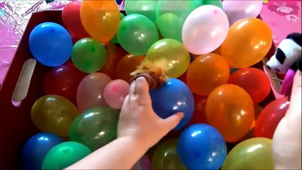 Против с де де по из Яйца бассейн сюрприз заполненные воздушными шарами