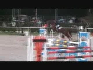 Barbizon 070923 D1E Meeping Cha de Florys