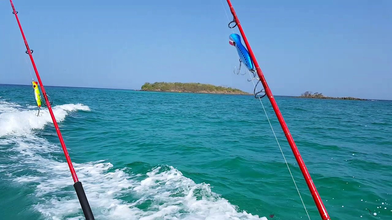 dans l'archipel de las perlas au panama