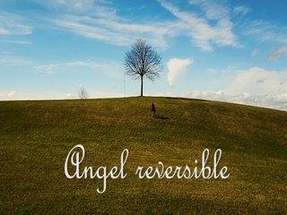 Angel reversible