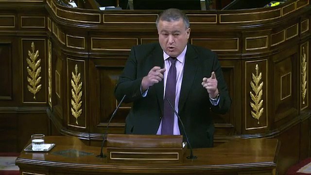 'L'efecte fuet', l'argument surrealista del PP per a voler tallar les cues dels gossos