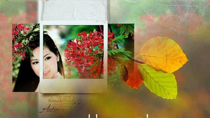 Chuyện Hai Mùa Mưa - Như Quỳnh, Tâm Đoan