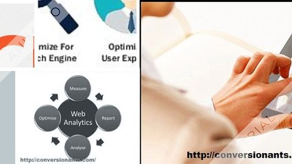 Web Design and Optimization