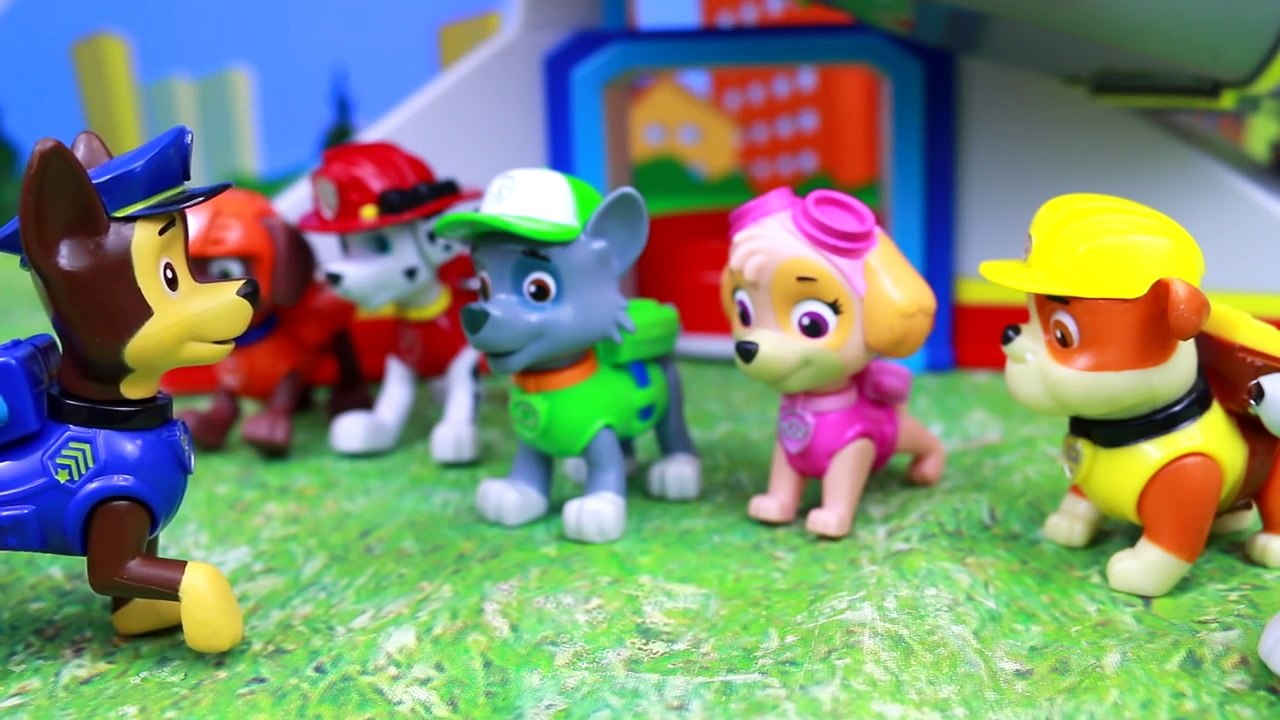Paw Patrol Pet Day Chase Saves Kitty Sea Turtle Saves Rubble Zuma Saves Monkey Rocky Saves
