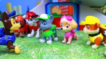 Paw Patrol Pet Day Chase Saves Kitty Sea Turtle Saves Rubble Zuma Saves Monkey Rocky Saves