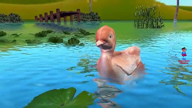 3D Rooster Duck Birds Finger Family Song | Eagle Penguin Ostrich Finger Family Nursery Rhy