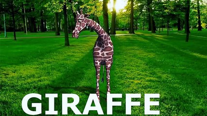 Farm Animals Sounds Video For Kids | Nursery Rhymes Farmees | Old Mcdonald And More Nurser