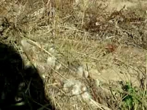 chute bmx dirt bernugat dirt trail