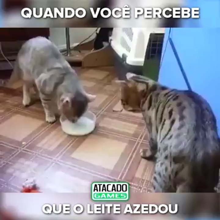 GATOS