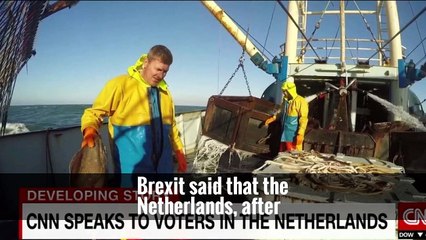 Populists Appear to Fall Short in Dutch Election, Amid High Turnout