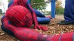 Superhero Flicks Channel Trailer #2 - Spiderman, Joker, Batman, Hulk, Venom, Bane in Real