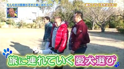 金曜プレミアム・爆笑もしものワンニャン生活～芸能人がペットを飼ったらこうなっ… #1 20170317