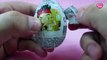 Surprise Eggs Cubby From Jake and The Never Land Surprise Toys Egg Surprise Disney Collector